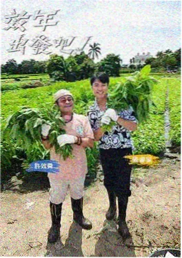荒野厨房 综艺在线看
